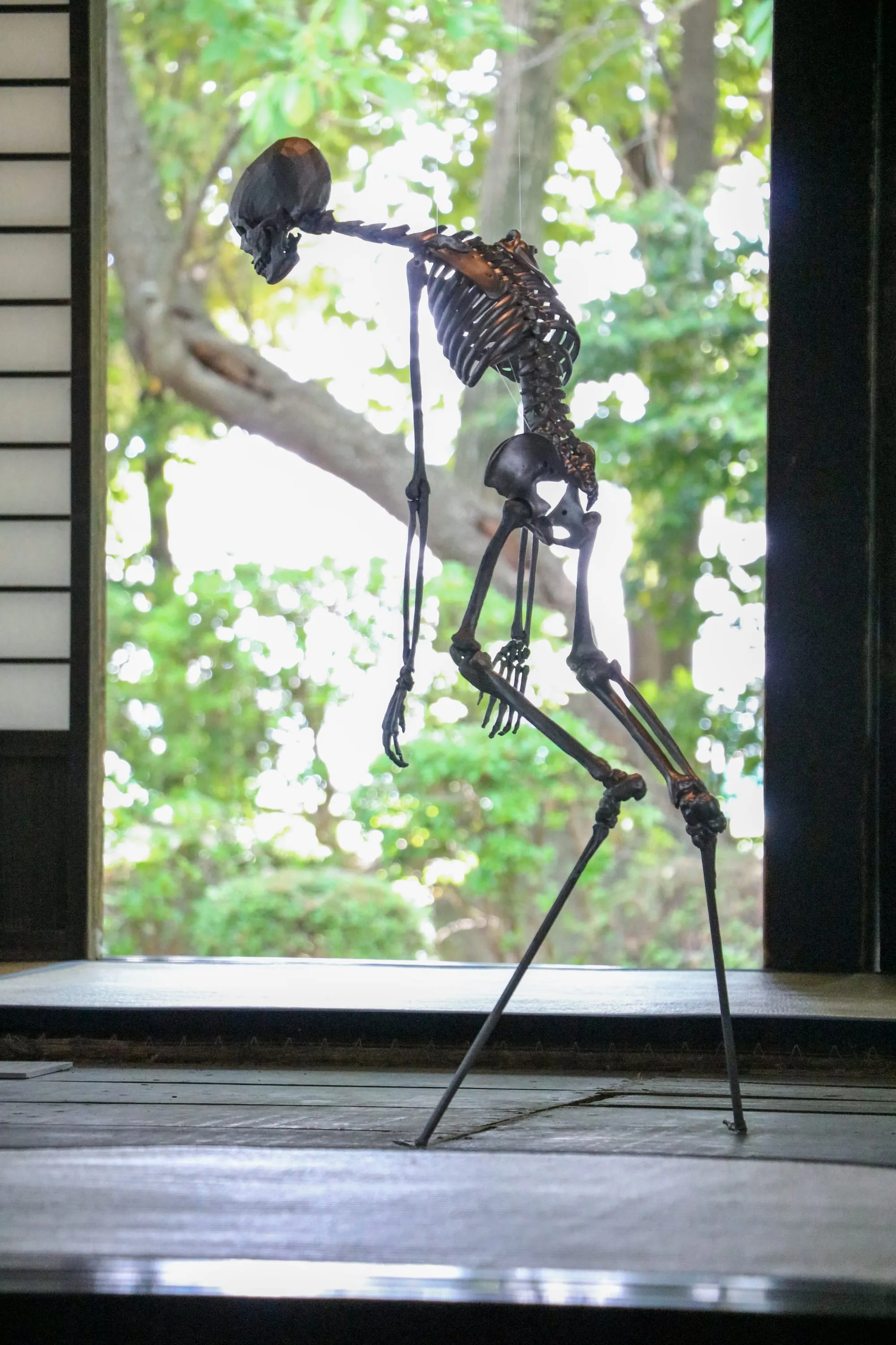 全滅する気がないなら、交雑せよ